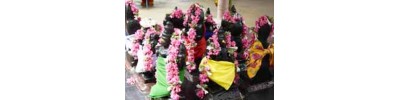 கணபதி விஸ்வநாதசாமி
